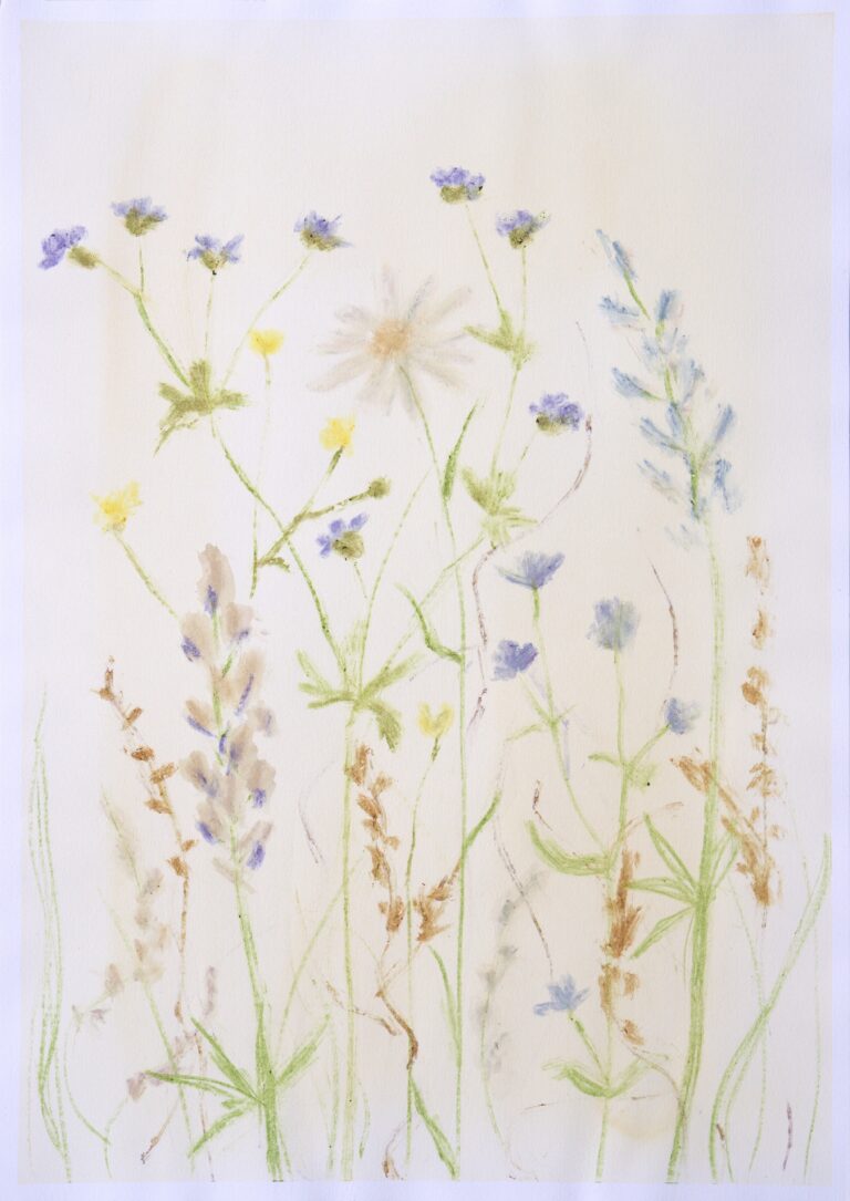 Drawing of flowers.