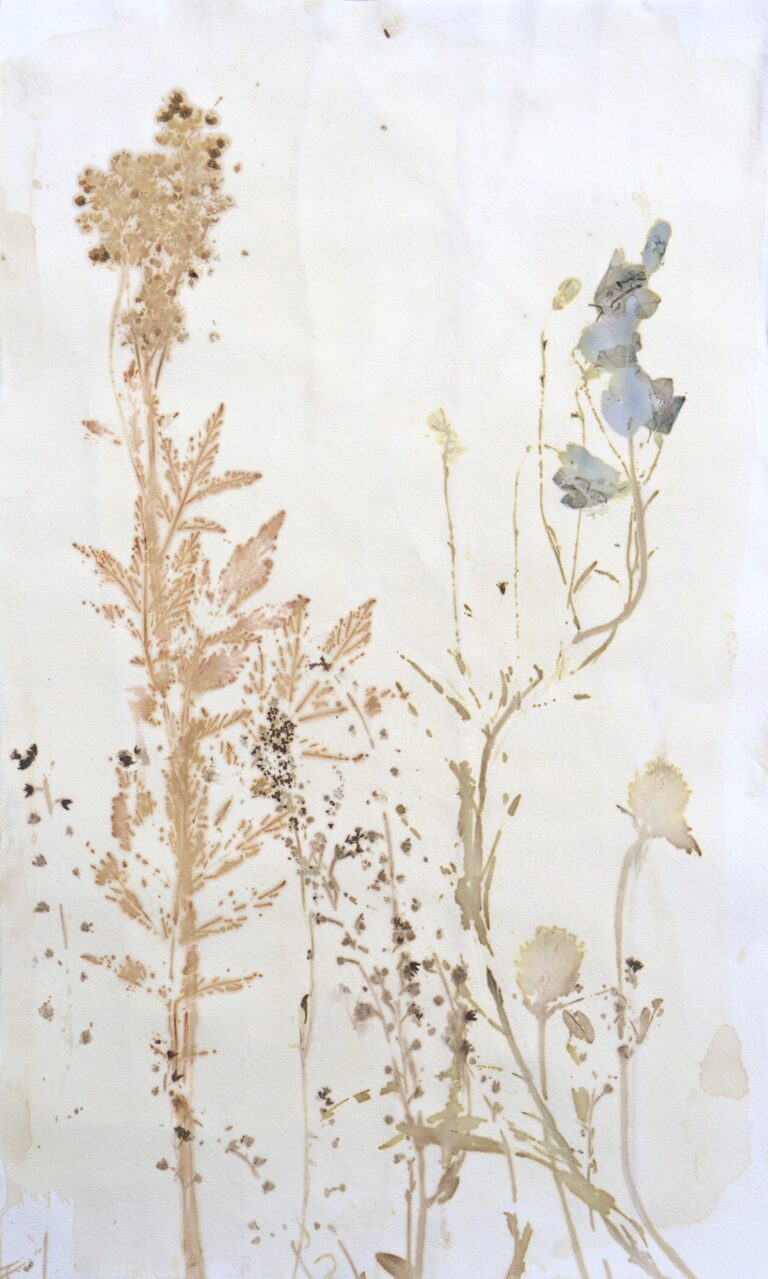 Ecoprinted artwork of flowers.