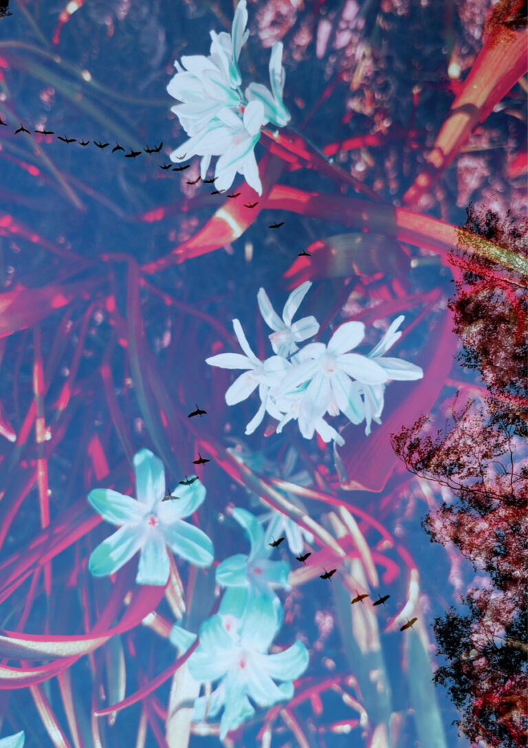 Stacked photographs of different seasonal marks that disclose the passing of time.